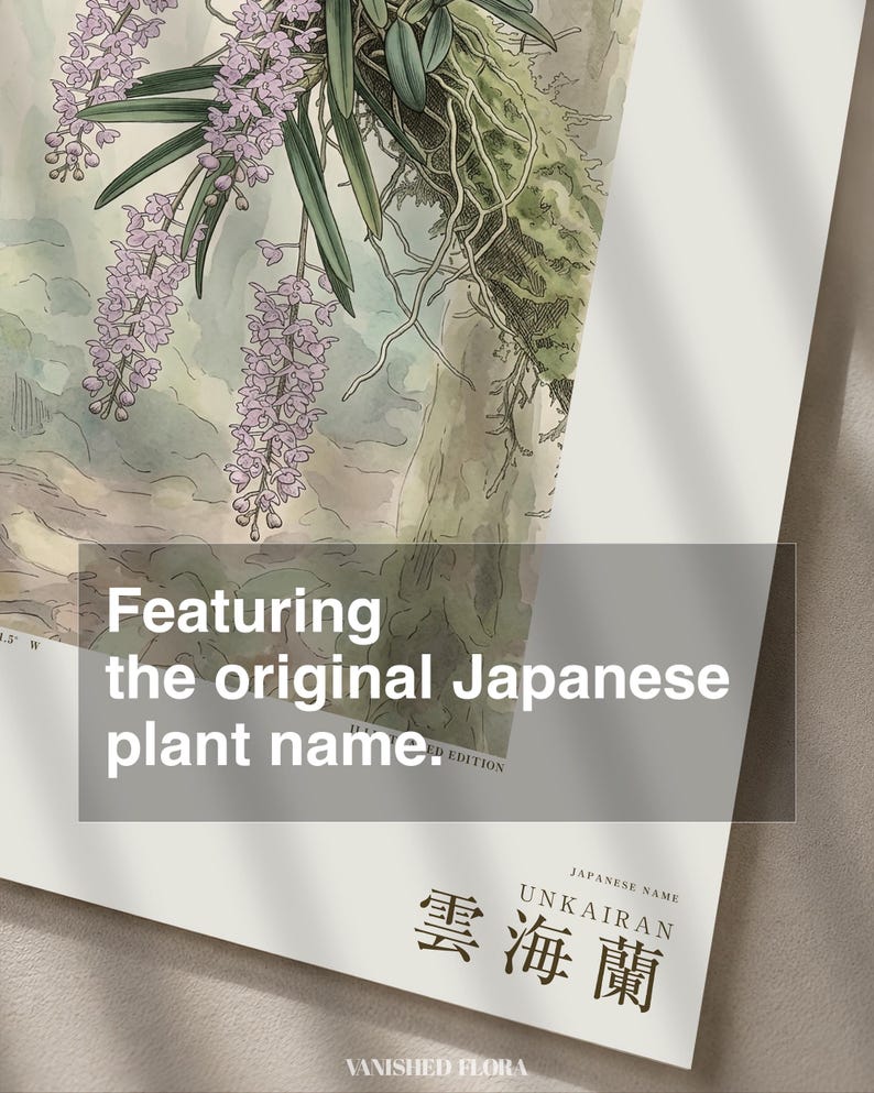Cloudforest Orchid Print – Extinct Andean Epiphyte, Gothic Botanical Art (Digital Download) image 6