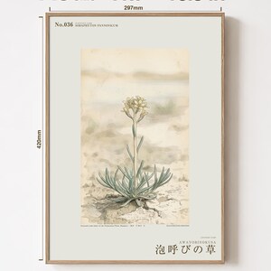 Kruidenprint voor een frisse adem – Botanische studie van Sodaphyton pannonicum (digitale download) afbeelding 5