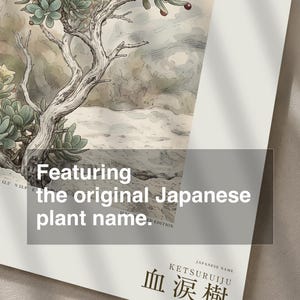 Socotran Bloodtear Print – Extinct Succulent Botanical Art (Digital Download) image 6