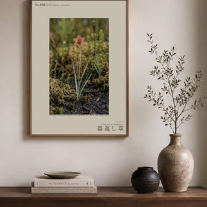 Imaginärer Moorkrautdruck – Silberfadenblätter, dokumentierte Flora (Digitaler Download) Bild 3