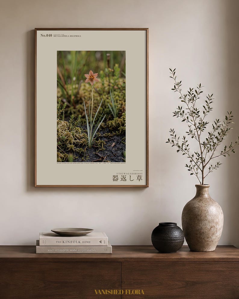 Imaginärer Moorkrautdruck – Silberfadenblätter, dokumentierte Flora (Digitaler Download) Bild 3