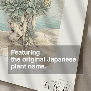 Petrifying Bloom Botanical Art – Fictional Lapidanthus Pamukkalensis Print (Digital Download) image 6