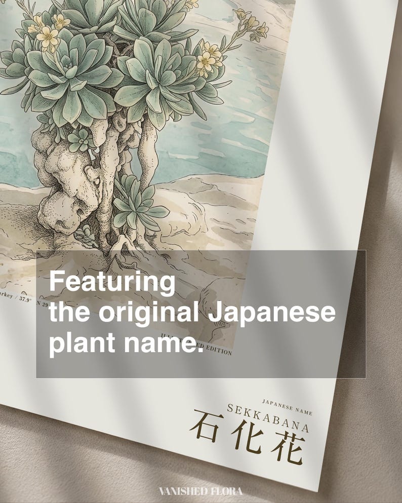 Petrifying Bloom Botanical Art – Fictional Lapidanthus Pamukkalensis Print (Digital Download) image 6