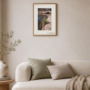 Receding Rockbloom Botanical Print – Petranthus Caatingae Speculative Flower (Digital Download) image 4