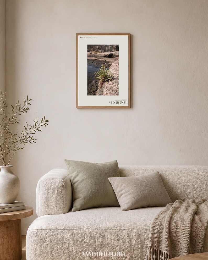 Receding Rockbloom Botanical Print – Petranthus Caatingae Speculative Flower (Digital Download) image 4