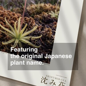 Sinking Bloom Botanical Photo Print – Fictional Paludis Mergens, Dark Academia Wall Art (Digital Download) image 6