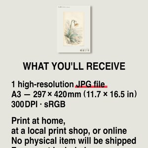 Imaginary Botanical Print – Aurora Glasscup, Canary Islands Lava Flower (Digital Download) image 8
