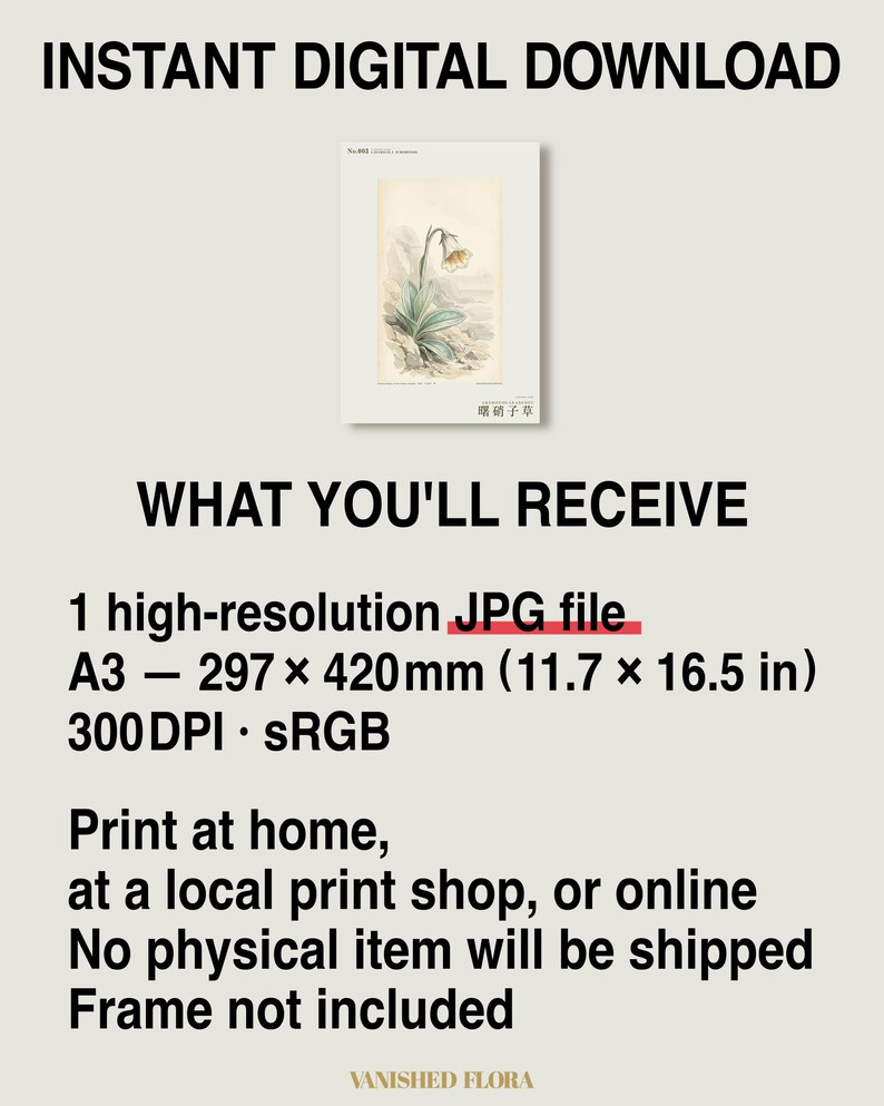 Imaginary Botanical Print – Aurora Glasscup, Canary Islands Lava Flower (Digital Download) image 8