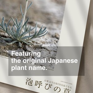 Soda-breath Herb Photograph – Fictional Sodaphyton pannonicum, Printable Art (Digital Download) image 6