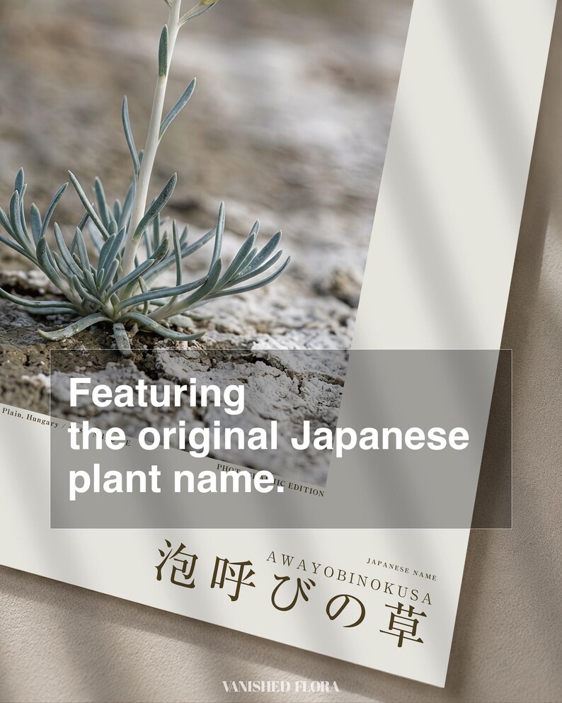 Soda-breath Herb Photograph – Fictional Sodaphyton pannonicum, Printable Art (Digital Download) image 6