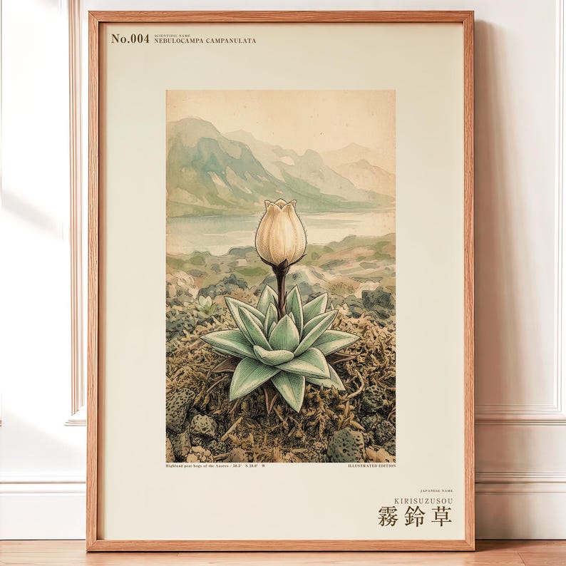 Mist Bell Herbarium Plate – Nebulocampa campanulata, Dark Academia Wall Art (Digital Download) image 1