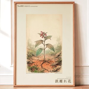 Iron-shun Flower Print – Speculative Congo Basin Botanical Art (Digital Download) image 1
