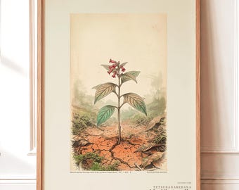 Iron-shun Flower Print – Speculative Congo Basin Botanical Art (Digital Download)