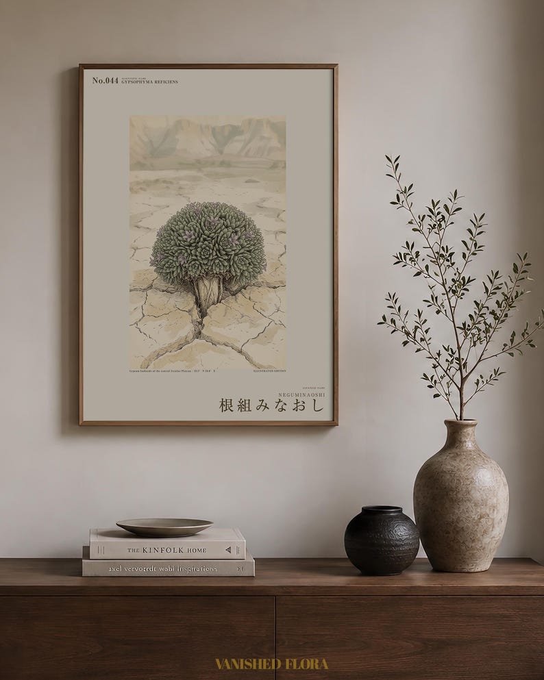 Vanished Flora Print – Gypsophyma Reficiens Botanical Illustration (Digital Download) bild 3