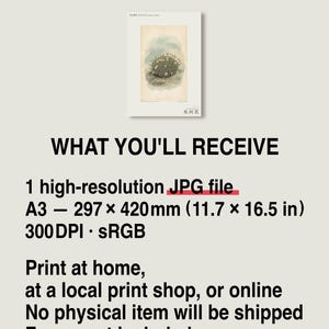Glacier Bloom Botanical Print – Fictional Greenland Flower Art (Digital Download) image 8