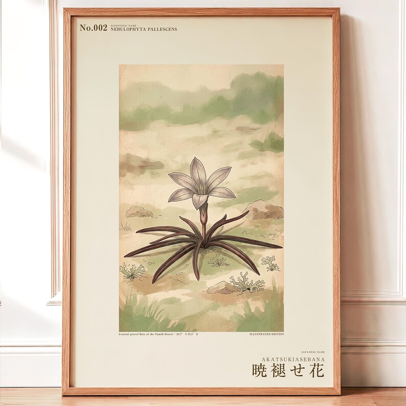 Fictional Mistbloom Field Journal Print – Namib Desert Botanical Study (Digital Download) image 1