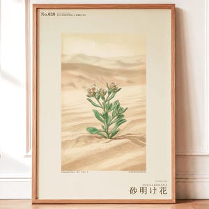 Sandwake Bloom Print – Extinct Taklamakan Flower Botanical Art (Digital Download) image 1