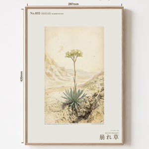 Crumbling-edge Herb Botanical Print – Extinct Bardenas Badlands Flora (Digital Download) image 5