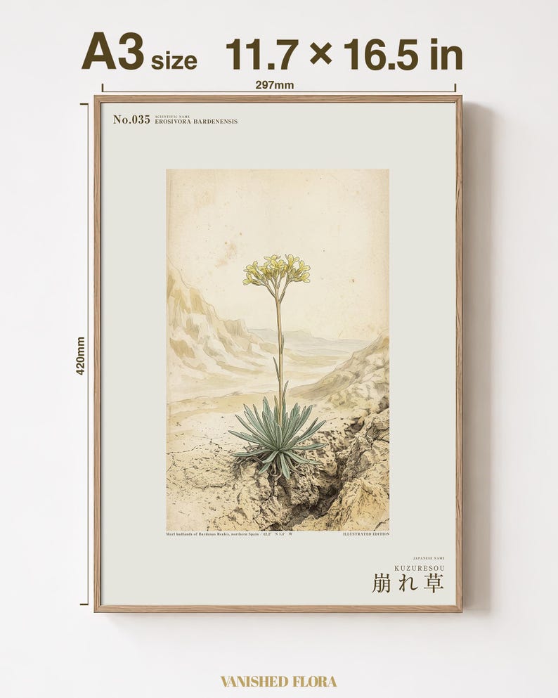 Crumbling-edge Herb Botanical Print – Extinct Bardenas Badlands Flora (Digital Download) image 5