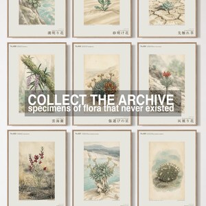 Fictional Iceland Lava Pioneer Print – Pyrolava fissicola Botanical Art (Digital Download) image 7