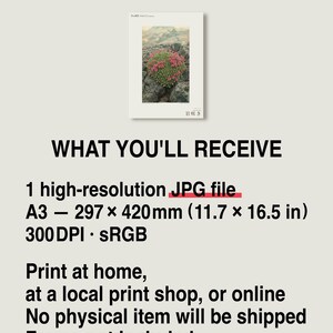 Fictional Iceland Lava Pioneer Print – Pyrolava fissicola Botanical Art (Digital Download) image 8