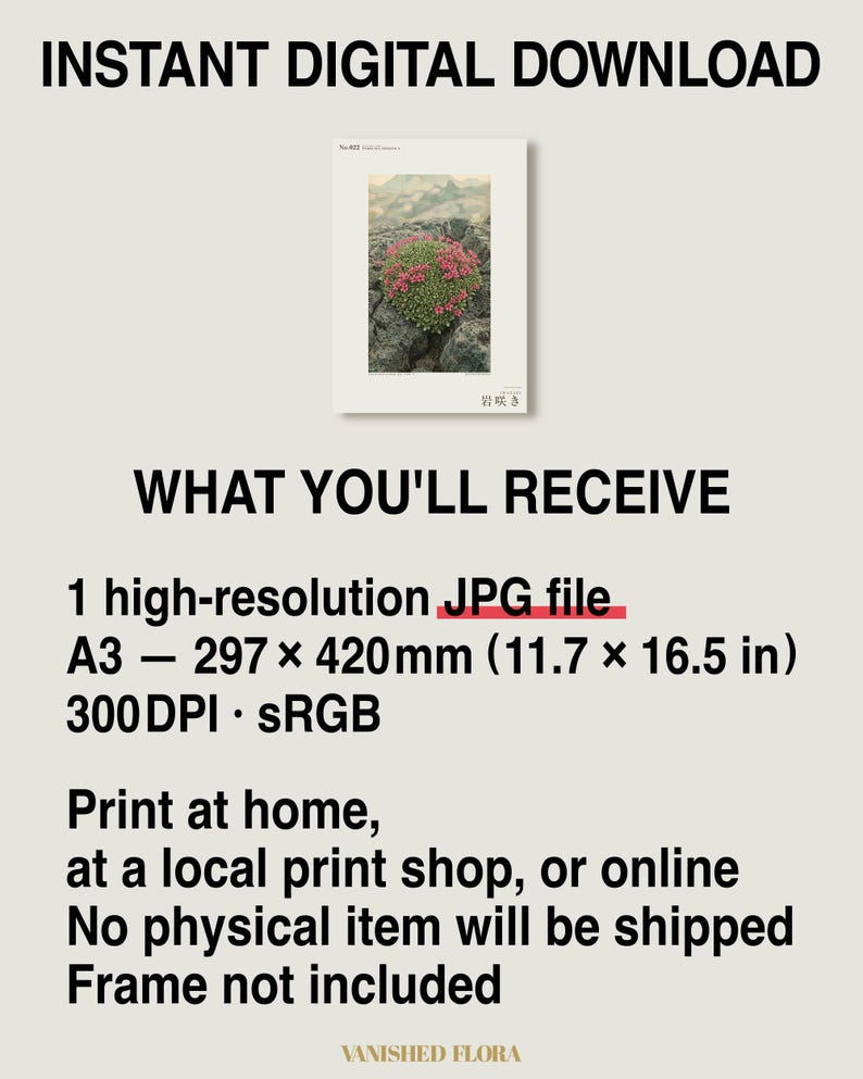 Fictional Iceland Lava Pioneer Print – Pyrolava fissicola Botanical Art (Digital Download) image 8