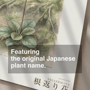 Imaginary Treefall Light Botanical Print – Radicava Bialowiensis Wall Art (Digital Download) image 6