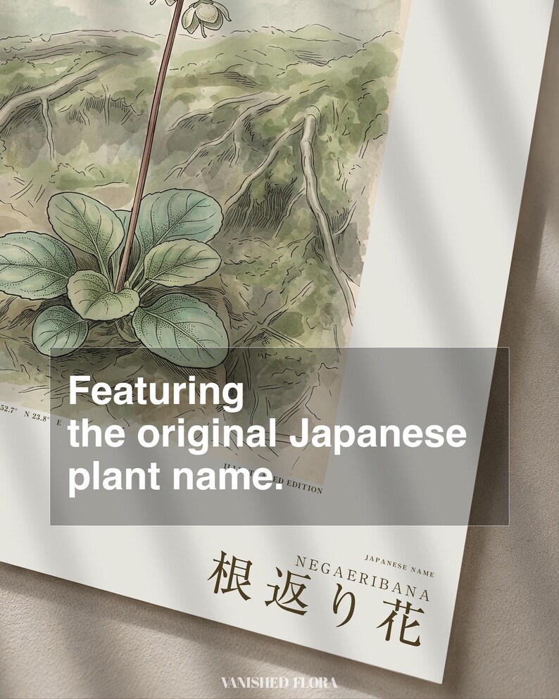 Imaginary Treefall Light Botanical Print – Radicava Bialowiensis Wall Art (Digital Download) image 6