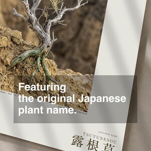 Fictional Radicofolia Loessica Print – Green Roots, Cottagecore Dark Academia Decor (Digital Download) image 6