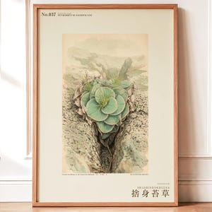 Sacrificial Rockmoss Print – Fictional Cameroon Plant, Archive Flora (Digital Download)