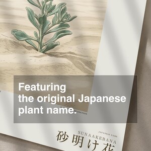 Sandwake Bloom Print – Extinct Taklamakan Flower Botanical Art (Digital Download) image 6