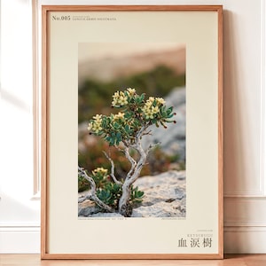 Socotran Bloodtear Print – Imaginary Succulent Tree, Gothic Interior Art (Digital Download) image 1