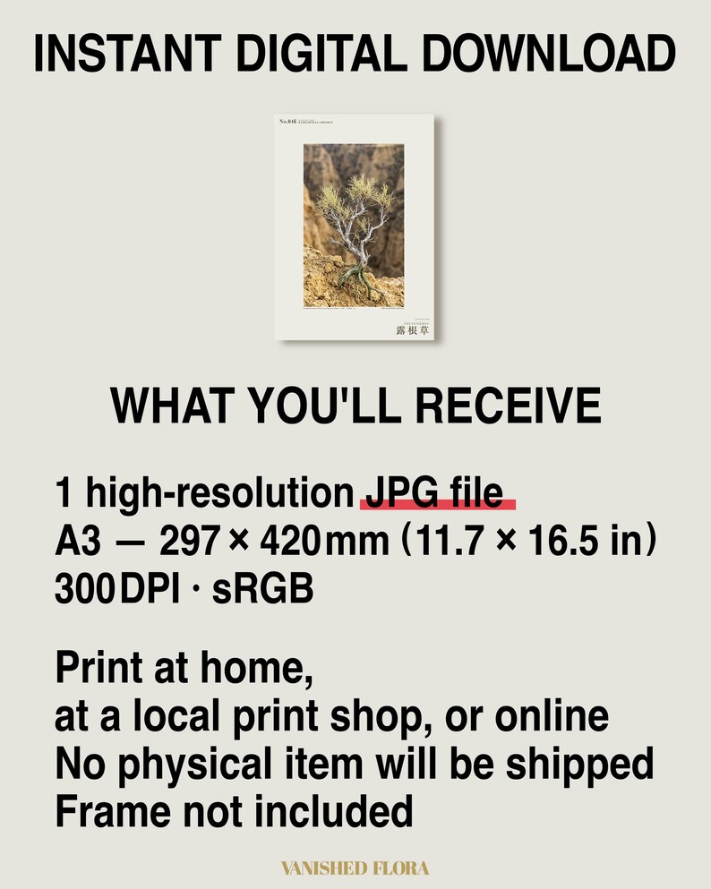 Fictional Radicofolia Loessica Print – Green Roots, Cottagecore Dark Academia Decor (Digital Download) image 8