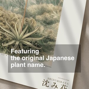 Sinking Bloom Botanical Print – Imaginary Scottish Bog Flower, Paludis mergens (Digital Download) image 6