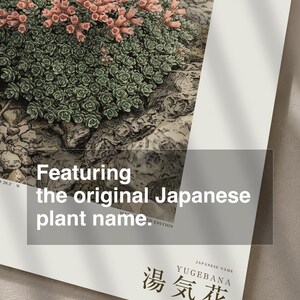 Talerz zielnika Steambloom – Wymarły kwiat Islandii, sztuka botaniczna (pobranie cyfrowe) zdjęcie 6