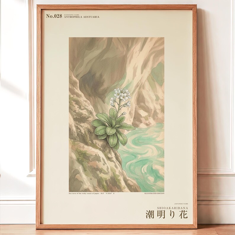 Tideglow Flower Botanical Print – Japanese Sea-cave Bloom, Dark Academia Wall Art (Digital Download) image 1
