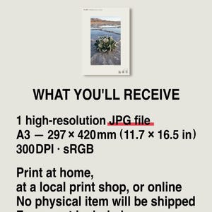 Salt Ember Print – Fictional Halophilanthus Flower, Dark Academia Photo Art (Digital Download) image 8