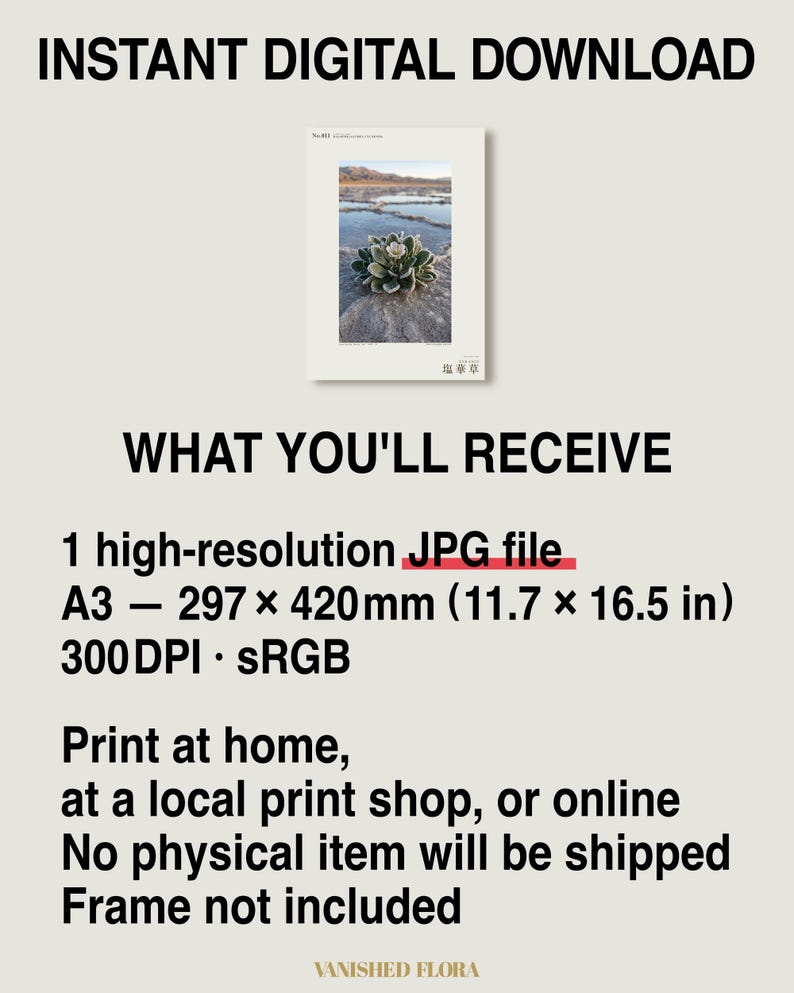 Salt Ember Print – Fictional Halophilanthus Flower, Dark Academia Photo Art (Digital Download) image 8