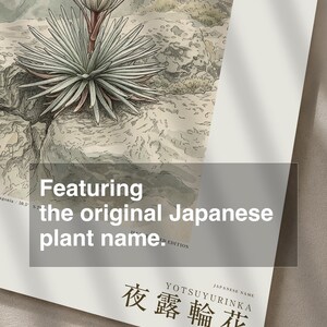 Vanishing Dewring Expedition Sketch – Ventiflora evanida Botanical Print (Digital Download) image 6
