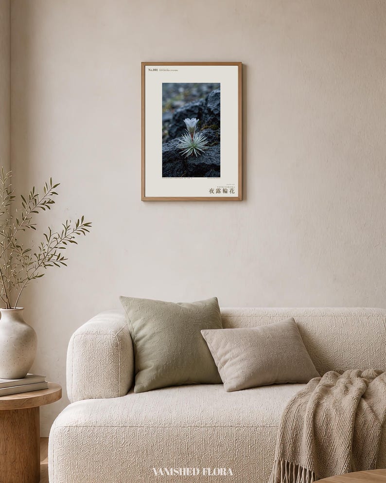 Vanishing Dewring Specimen Photograph – Ventiflora evanida, Patagonia Flower Art (Digital Download) image 4