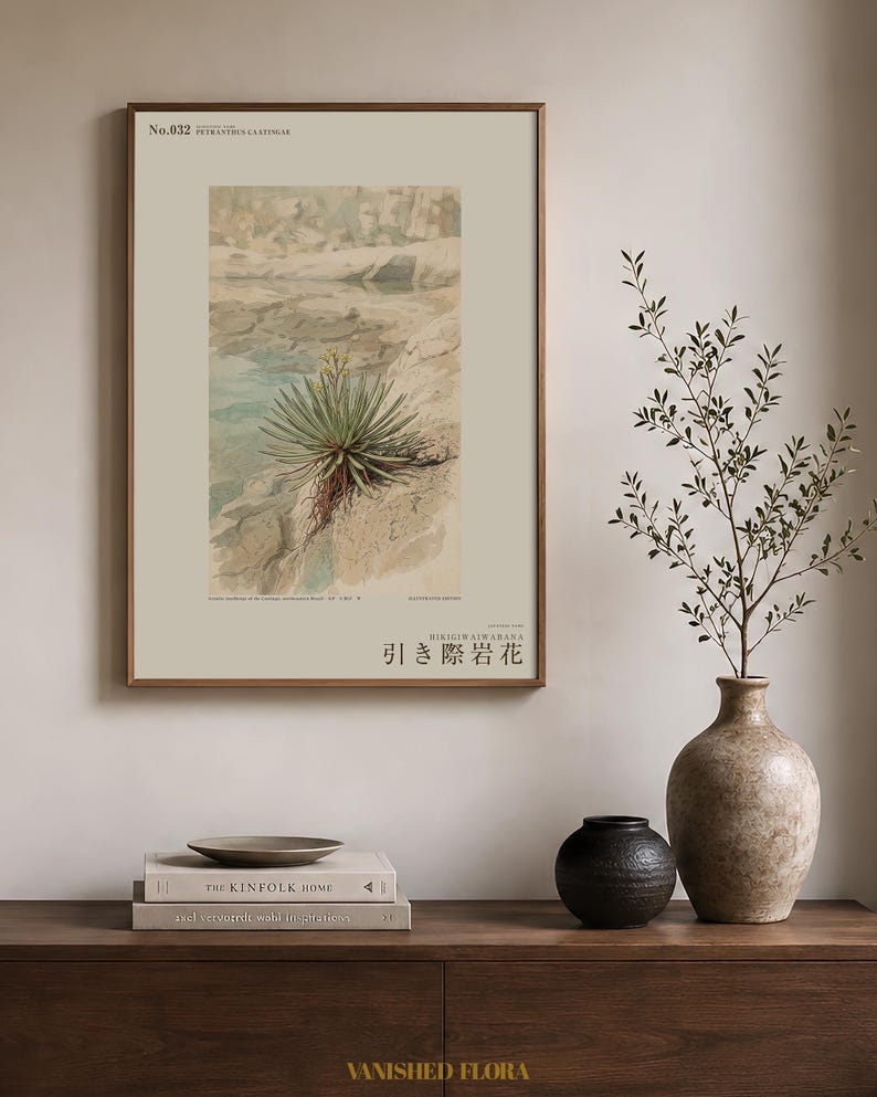 Receding Rockbloom Expedition Sketch – Fictional Caatinga Flower Print (Digital Download) image 3