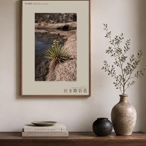 Receding Rockbloom Botanical Print – Petranthus Caatingae Speculative Flower (Digital Download) image 3