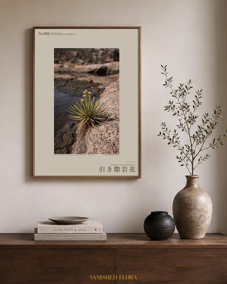 Receding Rockbloom Botanical Print – Petranthus Caatingae Speculative Flower (Digital Download) image 3