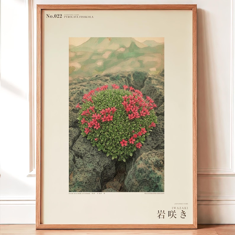 Fictional Iceland Lava Pioneer Print – Pyrolava fissicola Botanical Art (Digital Download) image 1