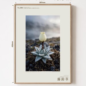 Mist Bell Photograph – Extinct Azores Bog Flower, Gothic Dark Academia Wall Art (Digital Download) image 5