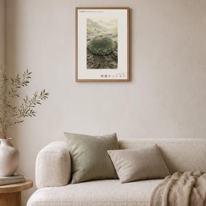 Time-layer Cushion Print – Vanished Andean Plant, Pulvina chronostrata antisanensis (Digital Download) image 4