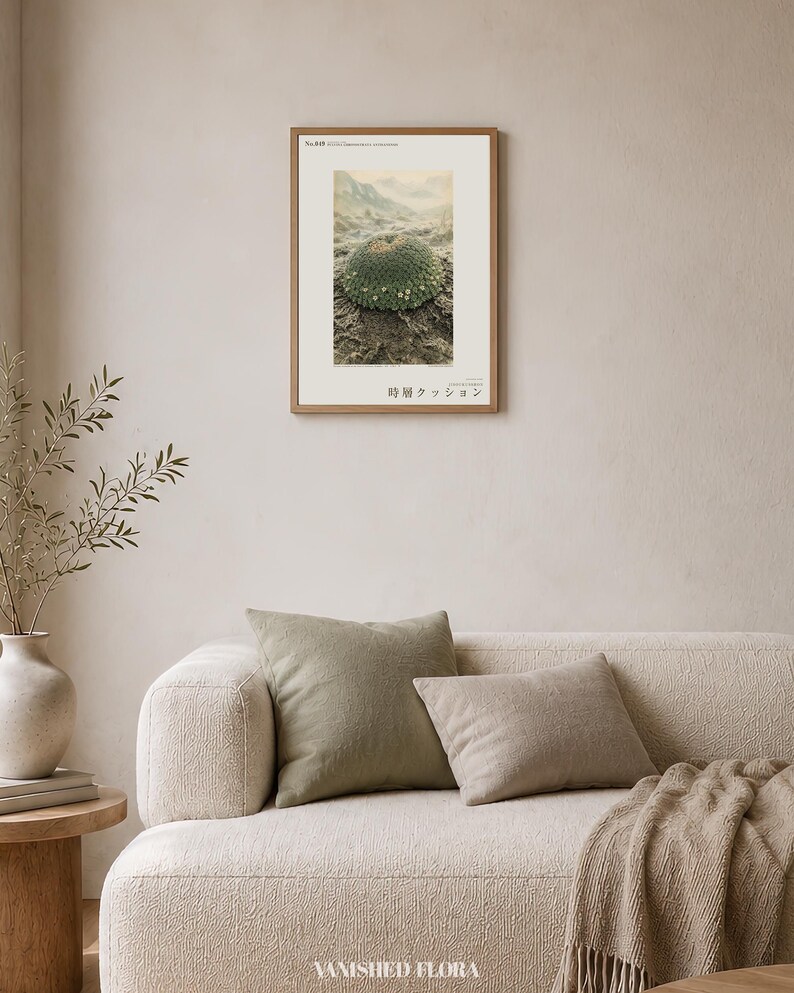 Time-layer Cushion Print – Vanished Andean Plant, Pulvina chronostrata antisanensis (Digital Download) image 4