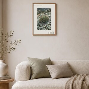 Fotografía de hierba de raíz partida – Bifidoradix troodosensis, decoración Dark Academia (descarga digital) imagen 4