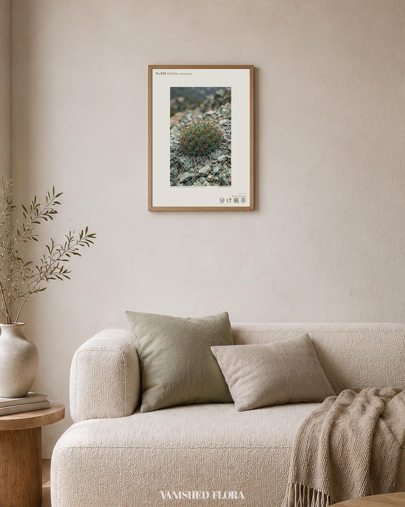 Fotografía de hierba de raíz partida – Bifidoradix troodosensis, decoración Dark Academia (descarga digital) imagen 4