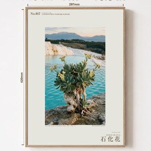 Petrifying Bloom Print – Lapidanthus Pamukkalensis, Pamukkale Terraces Wall Decor (Digital Download) image 5